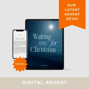 Waiting for Christmas (E-Book)