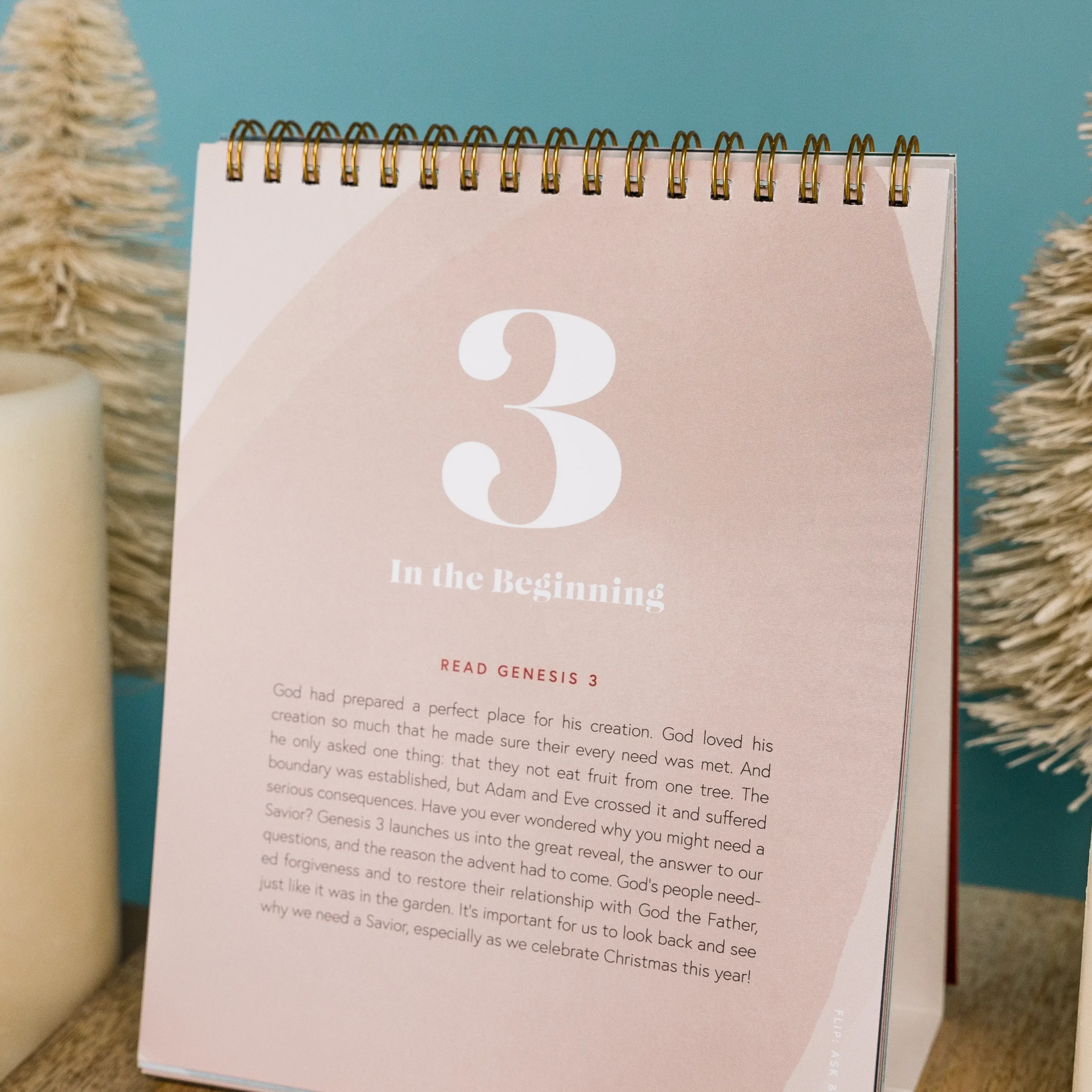 Advent Family Bundle - Image 7